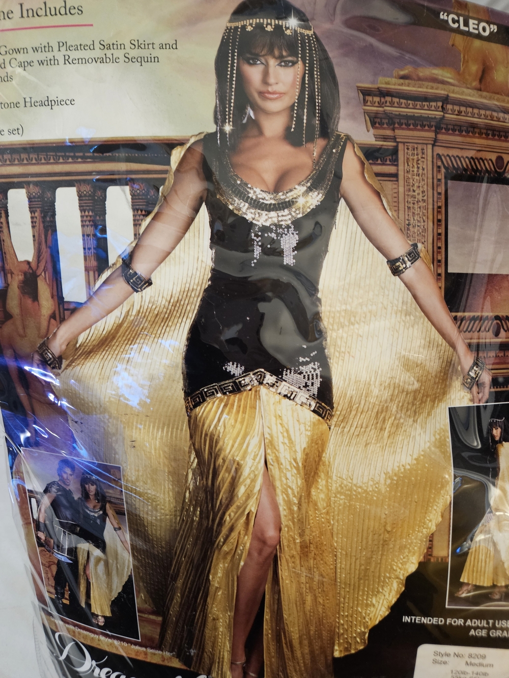 Dreamgirl Black & Gold Cleopatra-Inspired Costume Dress woth headress